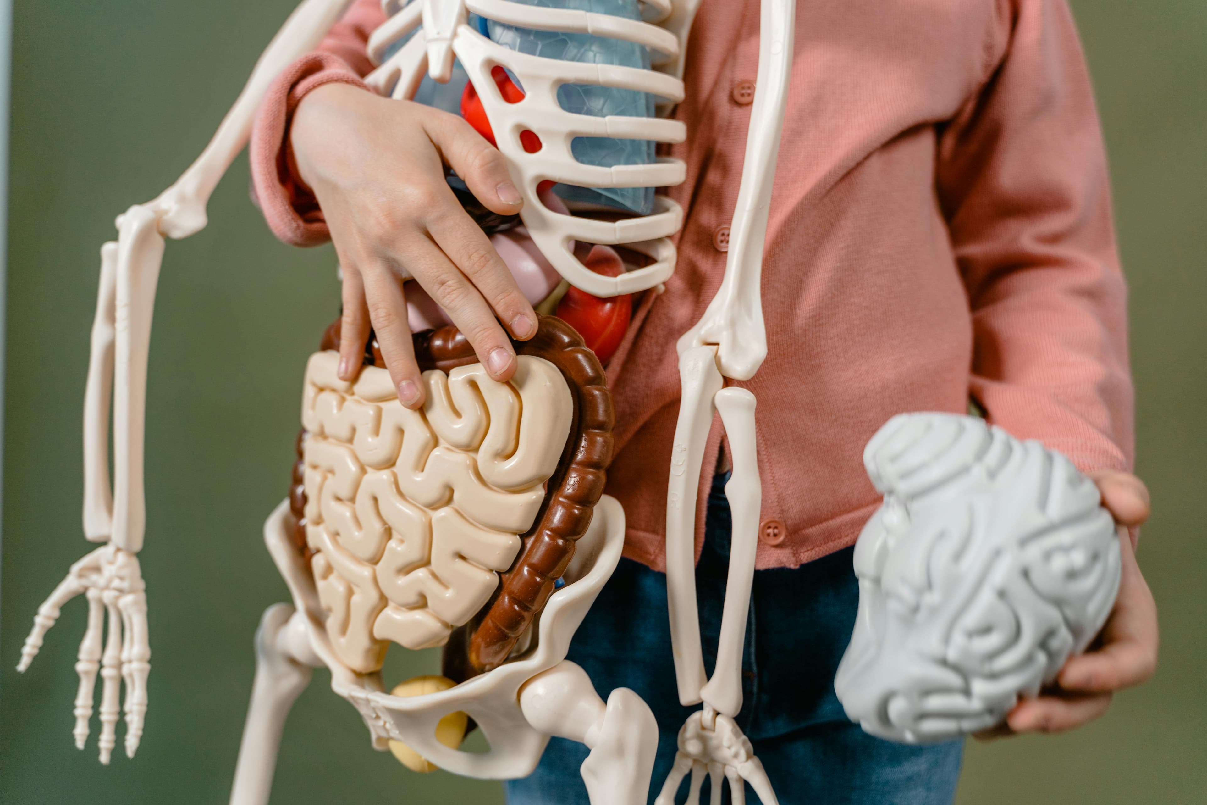 Gastroenterología
